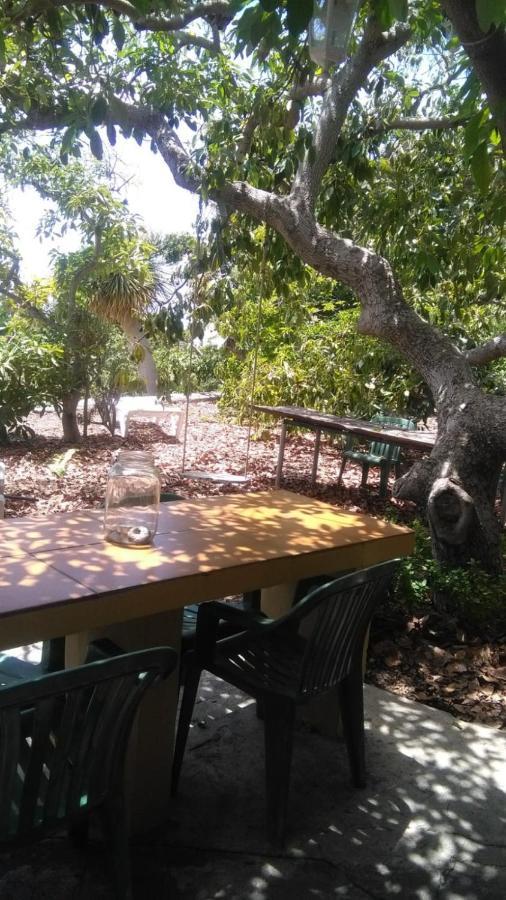 Casa Los Mangos Villa Tijarafe Kültér fotó