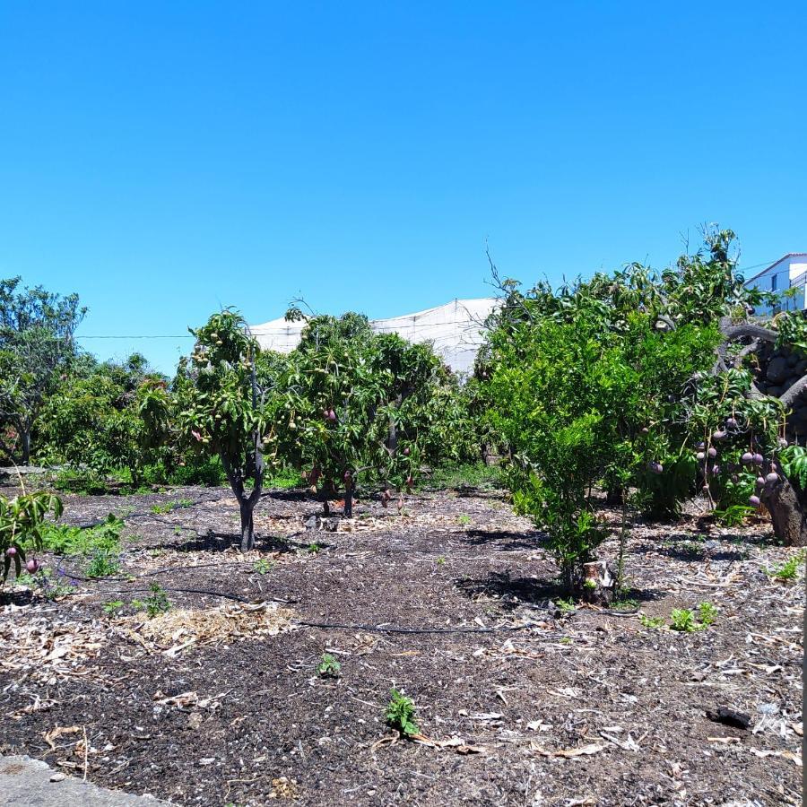 Casa Los Mangos Villa Tijarafe Kültér fotó